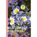 Wildflowers of California
