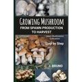 Growing Mushroom From Spawn Production to Harvest: Learn Mushrooms Cultivation Step by Step