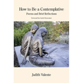 How to Be a Contemplative