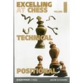 Excelling at Chess