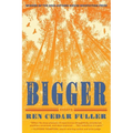 Bigger: Essays