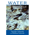 Water: The Element of Life