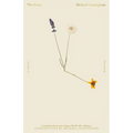 The Hours / Mrs. Dalloway