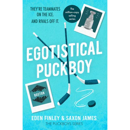 Egotistical Puckboy: The Queer Rivals to Lovers Ice Hockey Tiktok Sensation