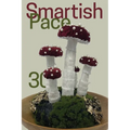 Smartish Pace: Issue 30