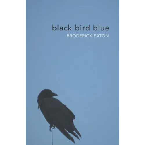 black bird blue