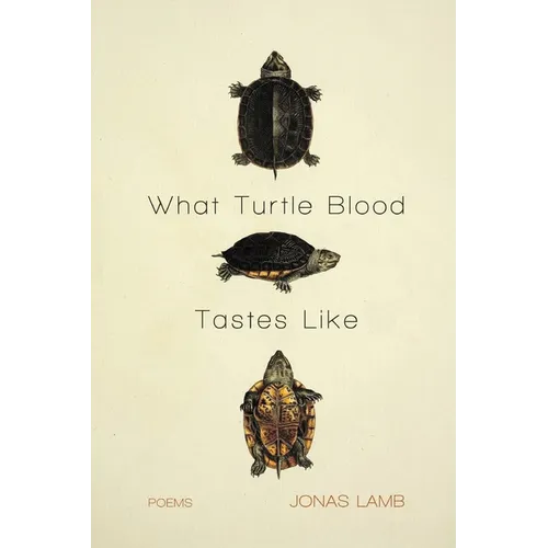 What Turtle Blood Tastes Like