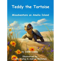 Teddy the Tortoise, Misadventure on Amelia Island