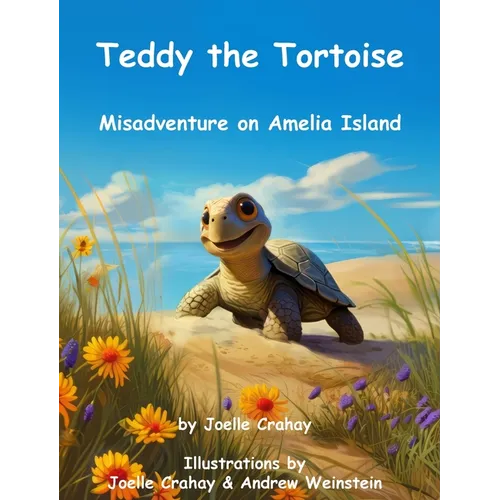 Teddy the Tortoise, Misadventure on Amelia Island