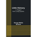 Little Hickory; or, Ragged Rob's young republic