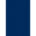The Bondage of the Will