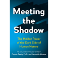 Meeting the Shadow: The Hidden Power of the Dark Side of Human Nature