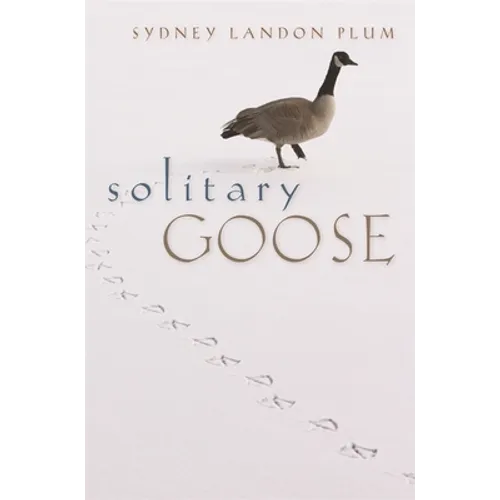 Solitary Goose