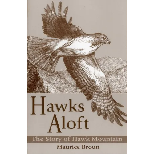 Hawks Aloft