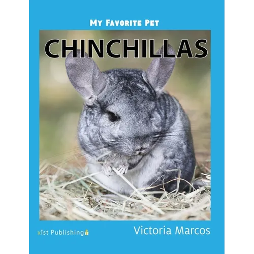 My Favorite Pet: Chinchillas