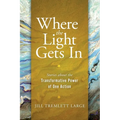 Where the Light Gets In: Stories about the Transformative Power of One Action