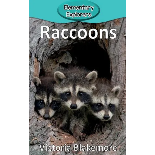 Raccoons