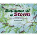 Because of a Storm: The Spongy Moth A Small Bug with a Big (and Icky) Impact