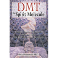 Dmt: The Spirit Molecule: A Doctor's Revolutionary Research Into the Biology of Near-Death and Mystical Experiences