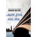 Now You See Me: A Lacey Flint Novel