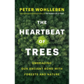The Heartbeat of Trees: Embracing Our Ancient Bond with Forests and Nature