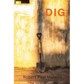 Dig