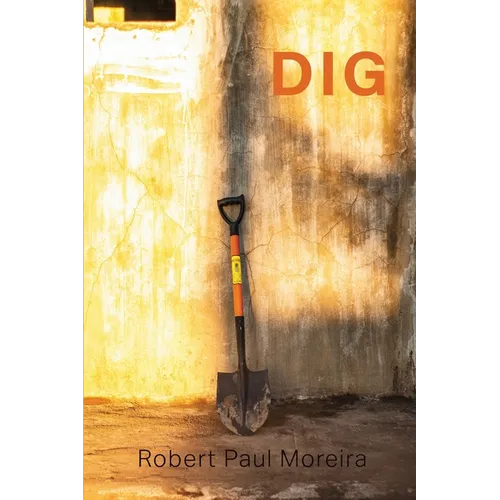 Dig