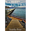Cold Query: A Blue Water Mystery