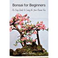 Bonsai for Beginners: An Easy Guide to Caring for Your Bonsai Tree