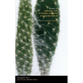 Poems of Hiromi Ito, Toshiko Hirata & Takako Arai