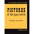 Pictures of the Gone World