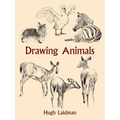 Drawing Animals