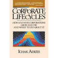 Corporate Lifecycles