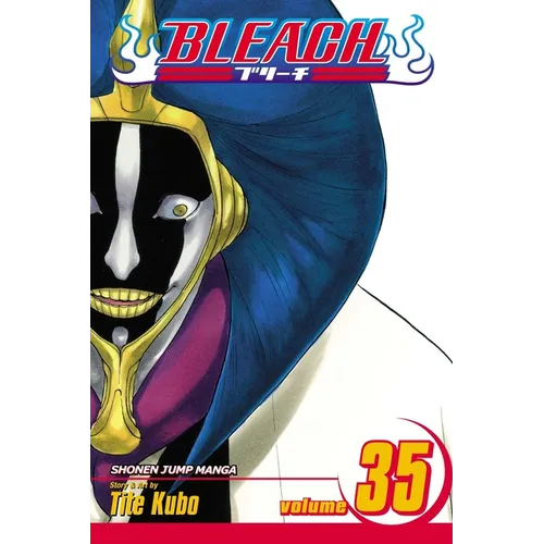 Bleach, Vol. 35: Higher Than the Moon