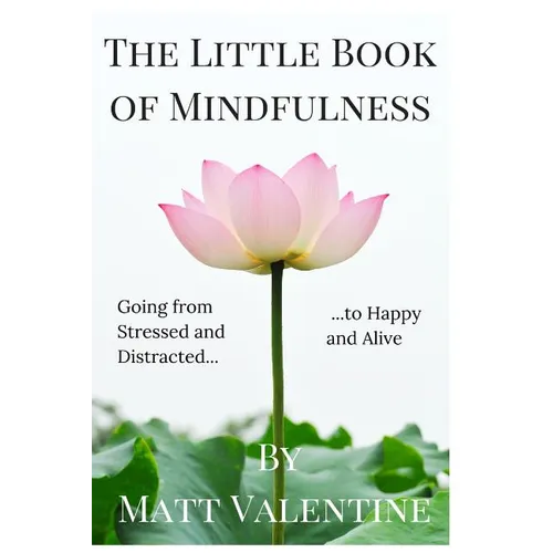 The Little Book of Mindfulness