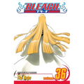 Bleach, Vol. 36: Turn Back the Pendulum