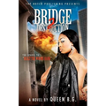Bridge 2 Destruction: The Sequel To Dealt the Wrong Hand