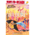 Wildfire!: Ready-To-Read Level 1