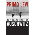 The Black Hole of Auschwitz