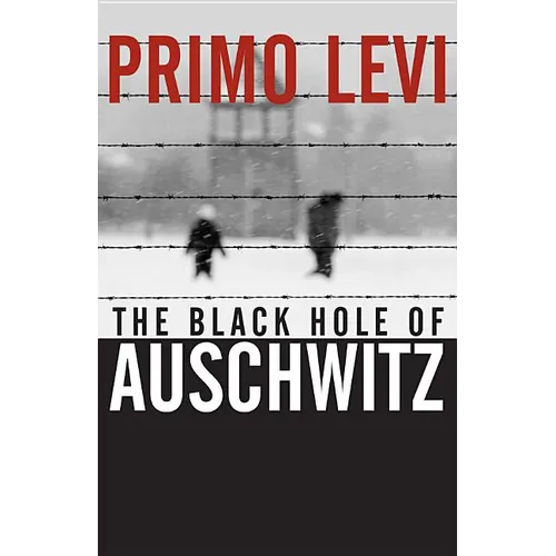 The Black Hole of Auschwitz