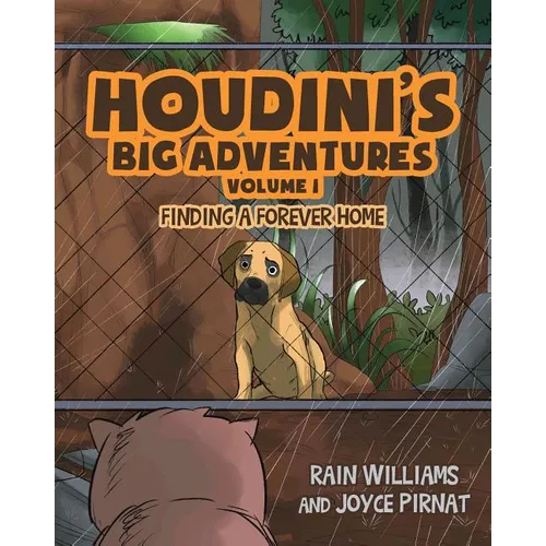 Houdini's Big Adventures: Finding a Forever Home