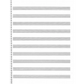 74. Spiral Book: 10-Stave: Passantino Manuscript Paper