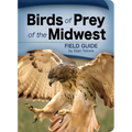Birds of Prey of the Midwest