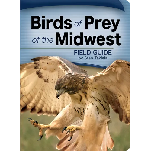 Birds of Prey of the Midwest
