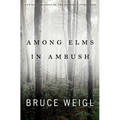 Among Elms, in Ambush