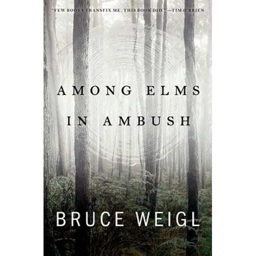 Among Elms, in Ambush