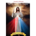 The Divine Mercy Chaplet: A Deep Meditation