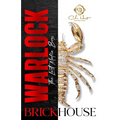 Warlock: The Last Mafia Boss