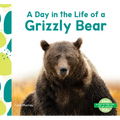 Day in the Life of a Grizzly Bear