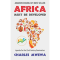 Africa Must Be Developed: Agenda for the 22nd Century Domination